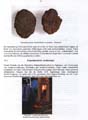 fouillesgleicht2005_6_017