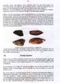 fouillesgleicht2005_6_044