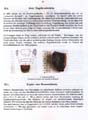 fouillesgleicht2005_6_049