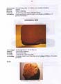 fouillesgleicht2005_6_056