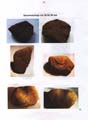 fouillesgleicht2005_6_059