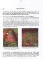 fouillesgleicht2005_6_080