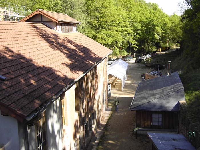 dolphwattgen200705006