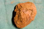 collectionraymonduhres200706 025