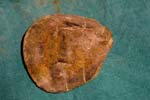 collectionraymonduhres200706 027