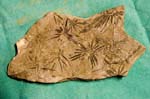 collectionraymonduhres200706 029