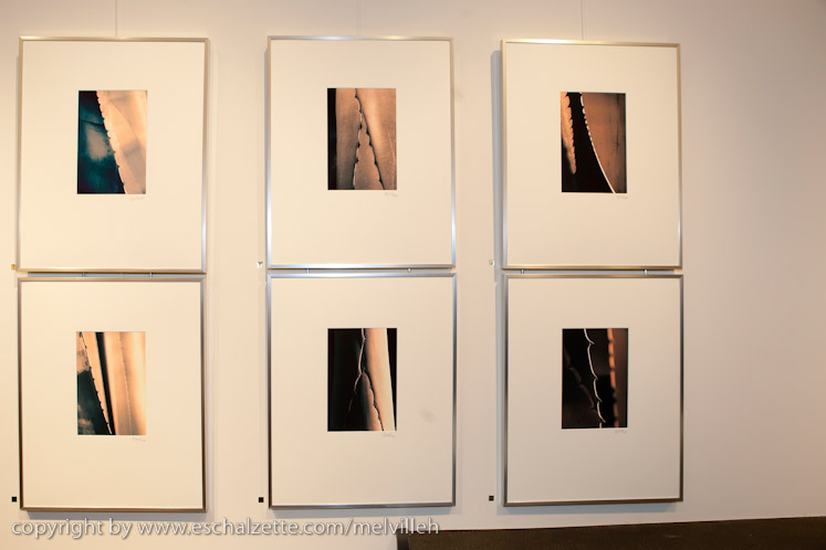 20090319_galeriedesch_jjlucas_011