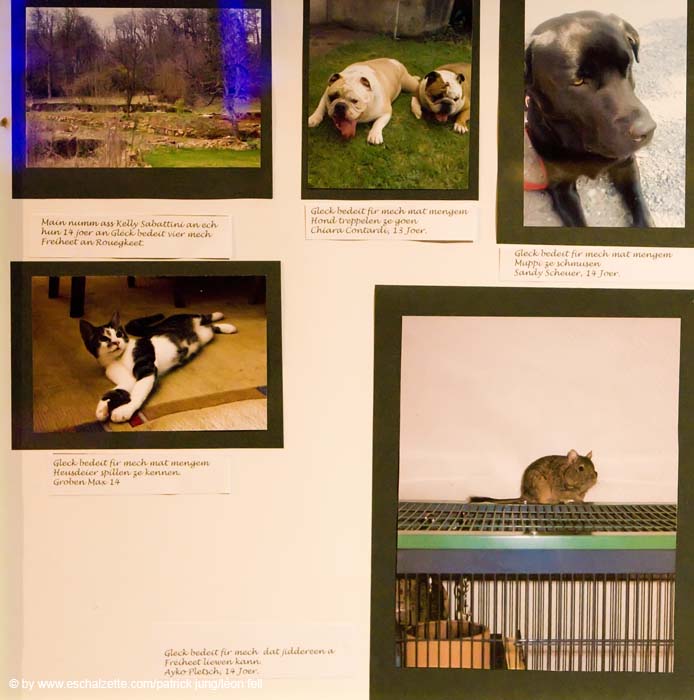 20080419kufasichnomgleck013