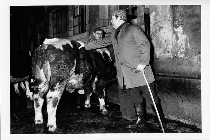 Abattoir 22