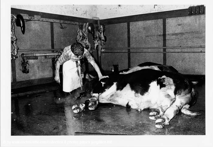 Abattoir 25