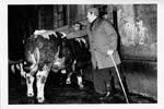 Abattoir 22