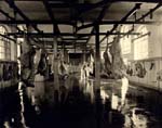 Abattoir 38