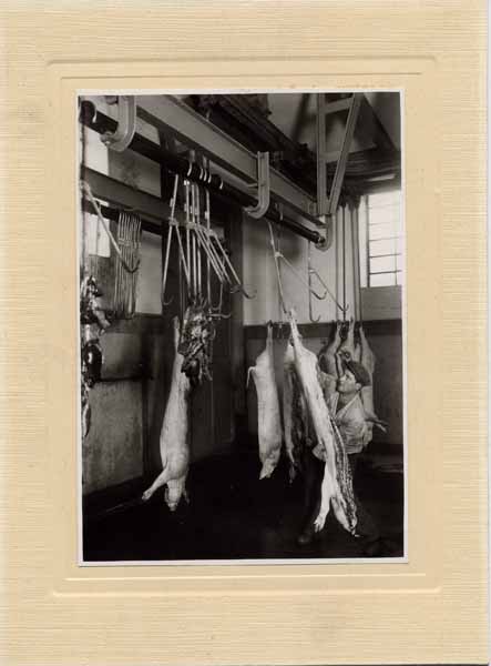 Abattoir 02