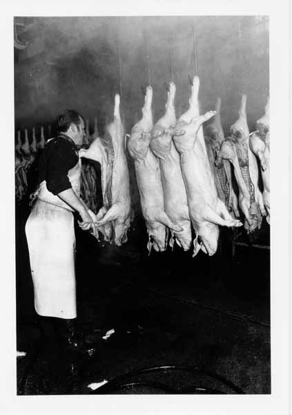 Abattoir 18