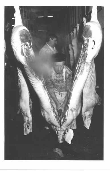 Abattoir 20