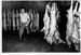 Abattoir 19