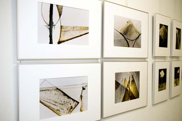 alphainterphotogr200705037