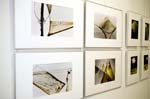 alphainterphotogr200705037
