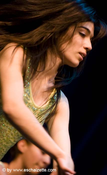 20080120telethon029
