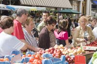 20080515escherbraderie038