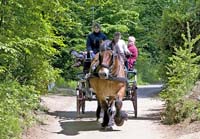 Dag an der Natur 2004 05 004