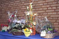 mond100ans200605063