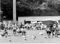 Escher Sport- a Spillfest 1995 002