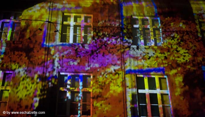 freresetlumieres20071124044