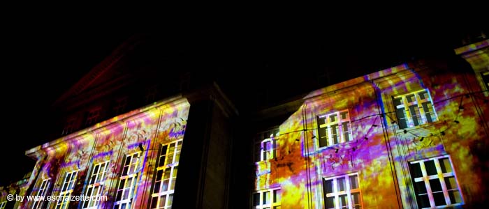 freresetlumieres20071124045