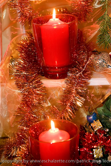 20081128krechtmoart049