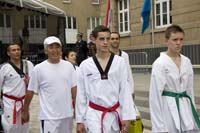 20080622fetenationale190