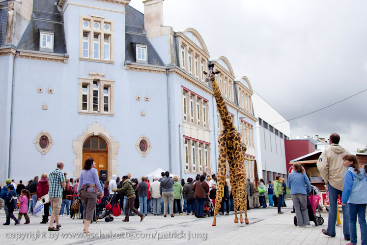 20090904_streetfestival_041