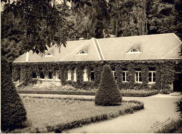 ecole en foret 03