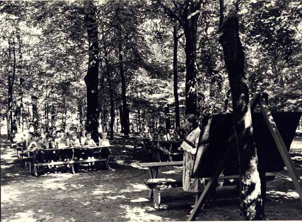 ecole en foret 06