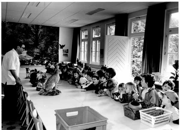 ecole en foret 1996 11
