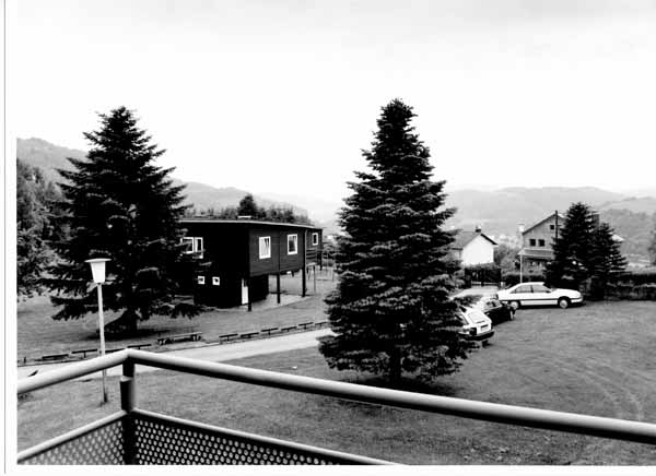 insenborn 1996 06