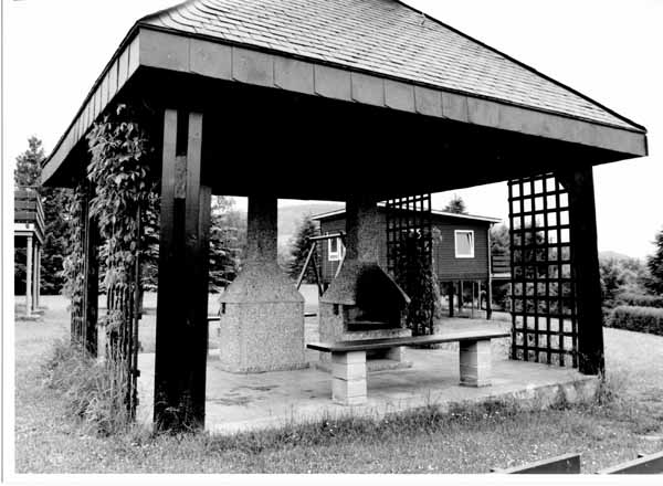 insenborn 1996 07