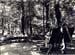 ecole en foret 06
