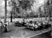 ecole en foret 10