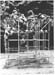 ecole en foret 1996 03