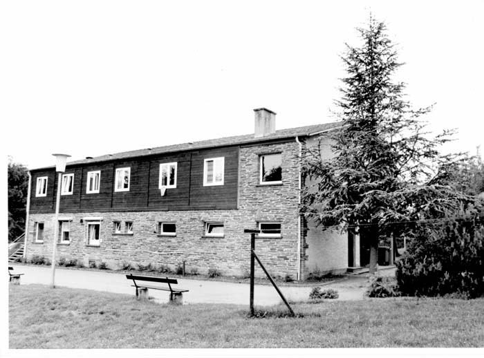 insenborn 1996 03