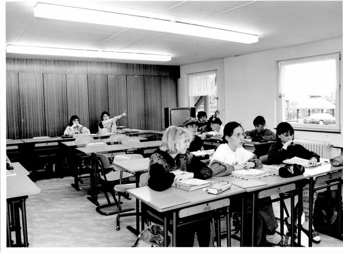 insenborn 1996 14