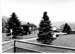 insenborn 1996 06