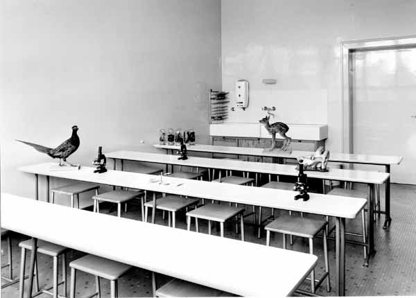Lycee garcons 04