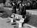 Lycee garcons 1963 13