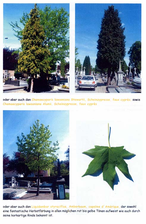 trees200503009