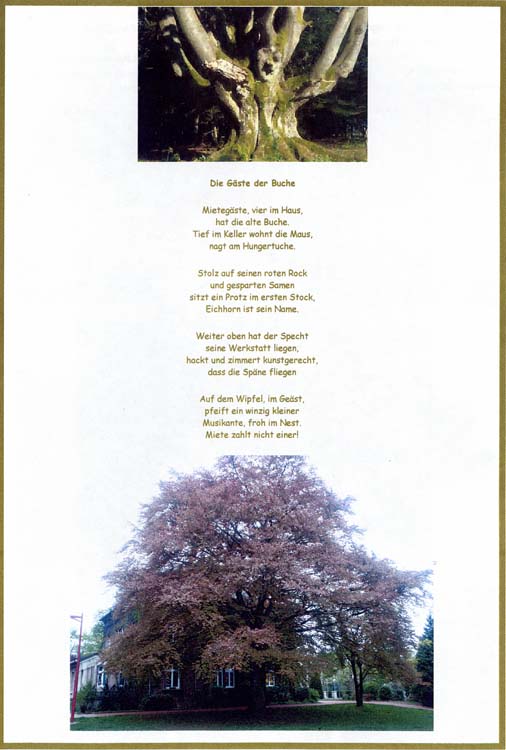 trees200503014