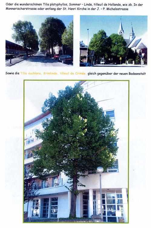 trees200503030