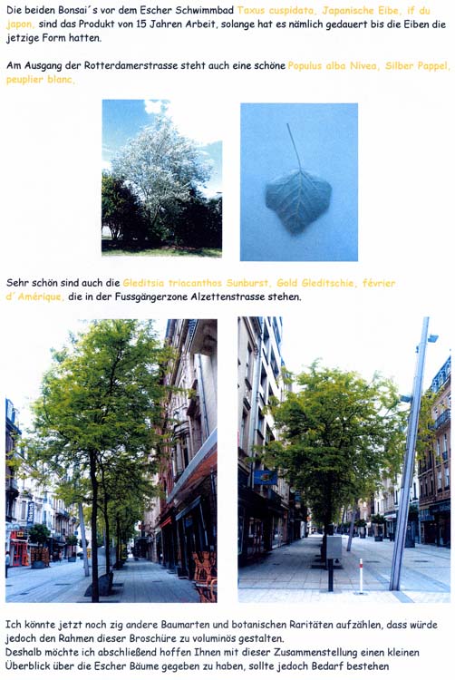 trees200503036