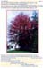 trees200503015